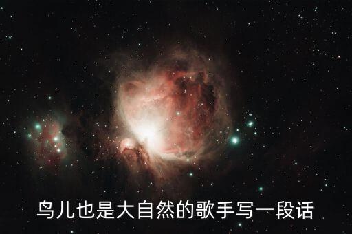 布谷布谷舞蹈,晨光|纸上风云:鸟儿在树上唱它们最喜欢的歌