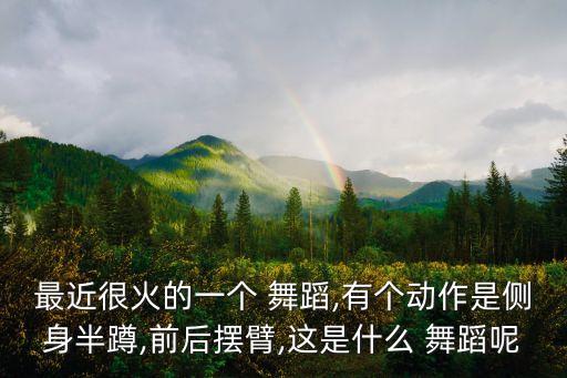 最近很火的一个 舞蹈,有个动作是侧身半蹲,前后摆臂,这是什么 舞蹈呢