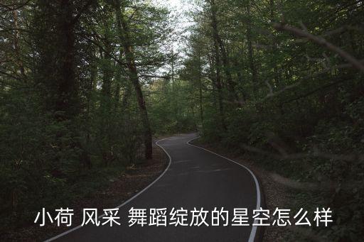  小荷 风采 舞蹈绽放的星空怎么样