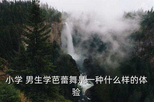 小学 男生学芭蕾舞是一种什么样的体验