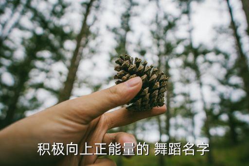 舞蹈屋水边的格桑梅朵,格桑花与康定情歌之旅
