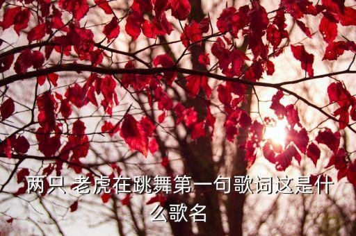  两只 老虎在跳舞第一句歌词这是什么歌名