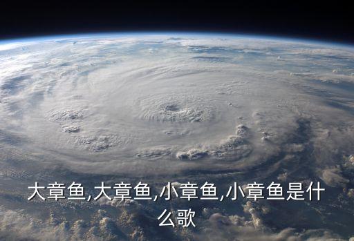 大章鱼,大章鱼,小章鱼,小章鱼是什么歌
