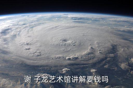 谢 子龙艺术馆讲解要钱吗