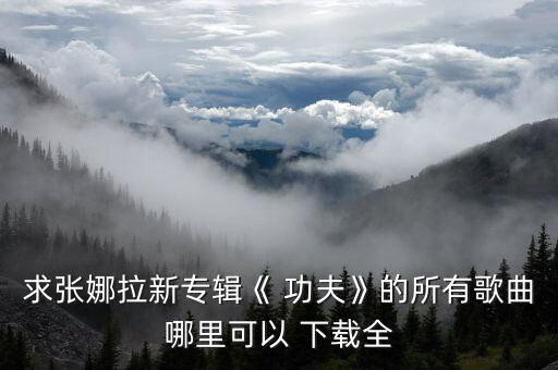 求张娜拉新专辑《 功夫》的所有歌曲哪里可以 下载全