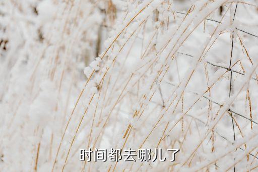 时间都去哪儿了