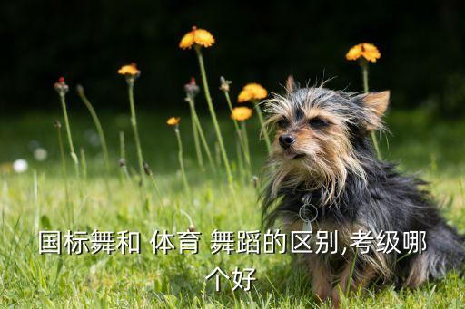 国标舞和 体育 舞蹈的区别,考级哪个好