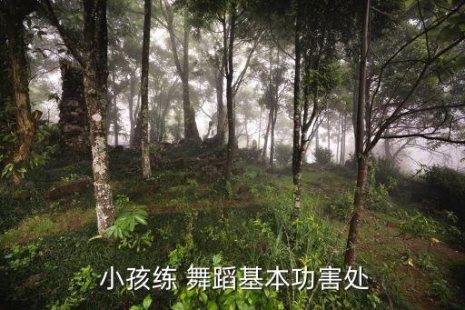 小孩练 舞蹈基本功害处