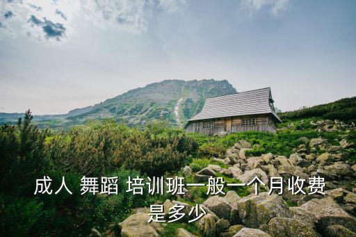  成人 舞蹈 培训班一般一个月收费是多少