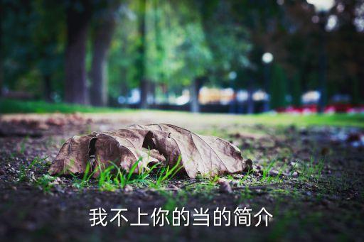 我不上你的当的简介