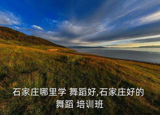 石家庄哪里学 舞蹈好,石家庄好的 舞蹈 培训班