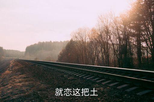 就恋这把土