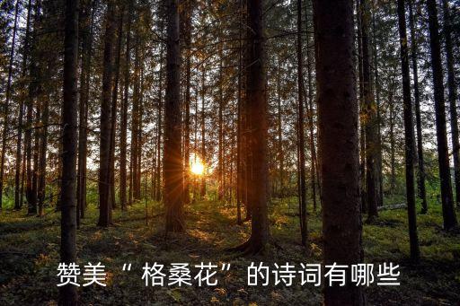 舞蹈美丽格桑花,藏族传说:找到巴派格桑花就找到幸福