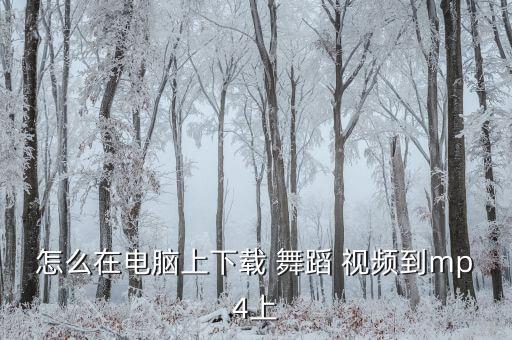 招待舞蹈视频解析,如何下载舞蹈视频?可以这样做!