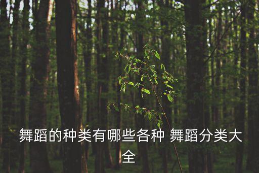  舞蹈的种类有哪些各种 舞蹈分类大全