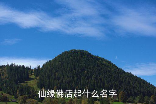 仙缘佛店起什么名字