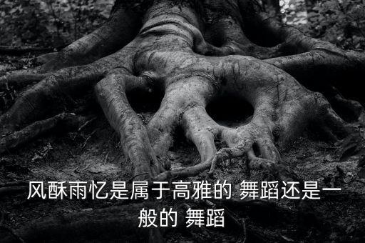  风酥雨忆是属于高雅的 舞蹈还是一般的 舞蹈