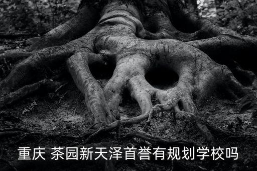 重庆 茶园新天泽首誉有规划学校吗