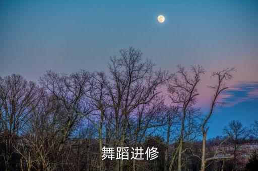  舞蹈进修