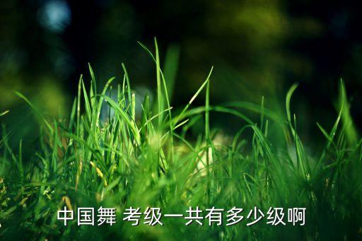 中国舞 考级一共有多少级啊