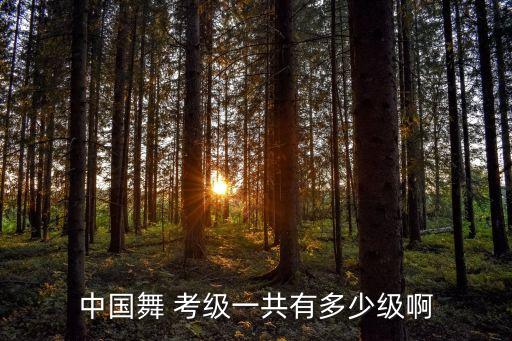 北京舞蹈三级考级曲目,中国舞蹈考级开放报名时间表