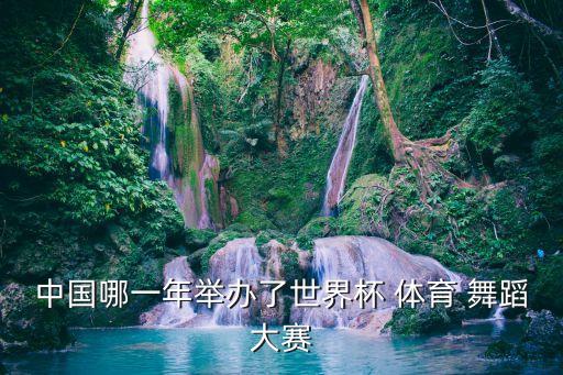 中国哪一年举办了世界杯 体育 舞蹈大赛