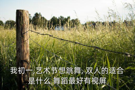 我初一,艺术节想跳舞, 双人的适合是什么 舞蹈最好有视屏
