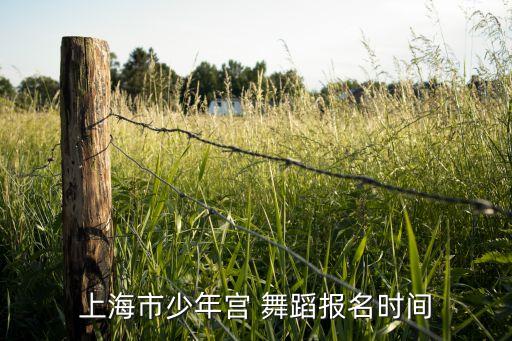 上海市少年宫 舞蹈报名时间