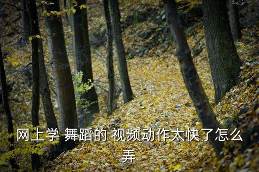 网上学 舞蹈的 视频动作太快了怎么弄