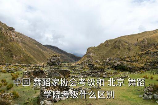 中国 舞蹈家协会考级和 北京 舞蹈学院考级什么区别