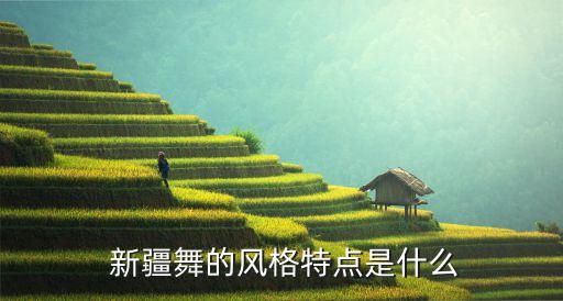 新疆 舞蹈,新疆de舞蹈style具有浓郁西式风格
