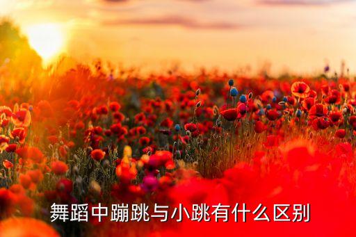  舞蹈中蹦跳与小跳有什么区别