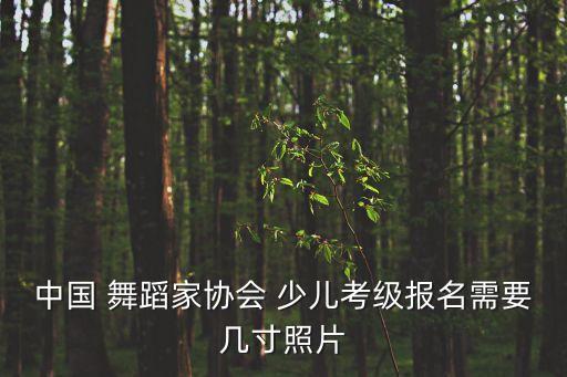 中国 舞蹈家协会 少儿考级报名需要几寸照片