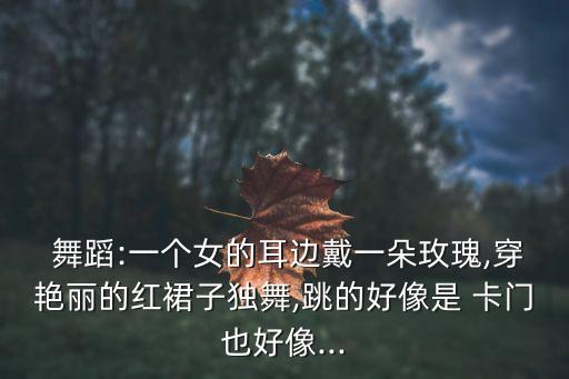  舞蹈:一个女的耳边戴一朵玫瑰,穿艳丽的红裙子独舞,跳的好像是 卡门也好像...