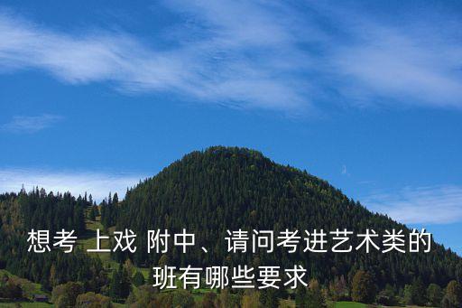 上戏舞蹈学院附中,中戏附中芭蕾舞蹈少校申银附中三考上戏中戏