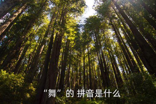 夏日舞蹈的拼音,第二集:新传媒20强选区竞选广播