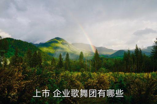 上市 企业歌舞团有哪些