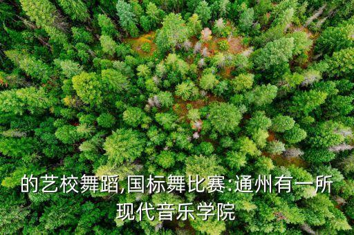 北京的艺校舞蹈,国标舞比赛:通州有一所现代音乐学院
