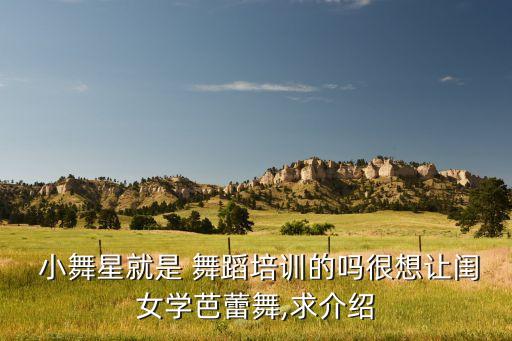 快乐小舞星一星舞蹈,亲自问的小舞星舞蹈课程满足家长需求