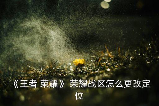 《王者 荣耀》 荣耀战区怎么更改定位