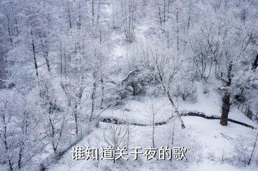 谁知道关于夜的歌