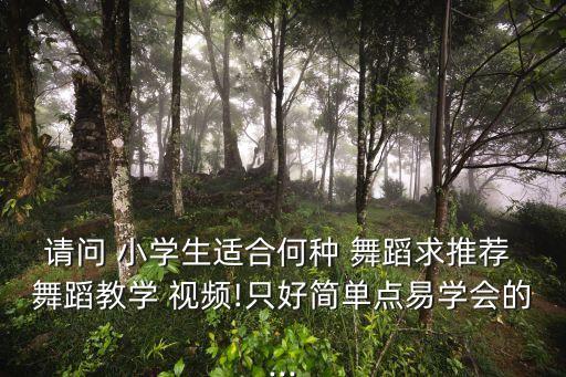 请问 小学生适合何种 舞蹈求推荐 舞蹈教学 视频!只好简单点易学会的...