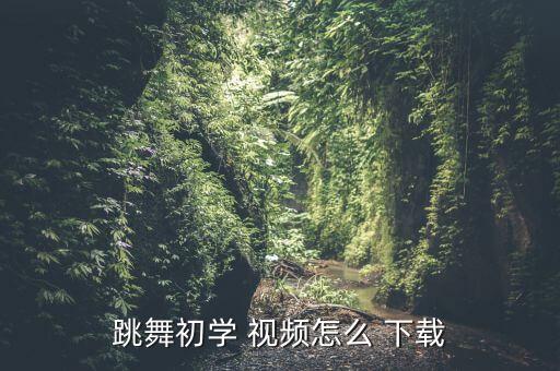 舞蹈教程视频大全下载,首先要点击百度视频并点击-2视频播放