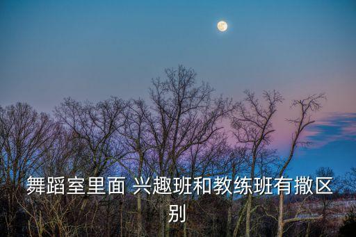  舞蹈室里面 兴趣班和教练班有撒区别