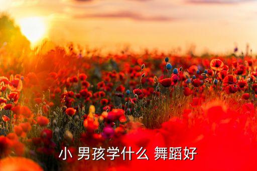男孩学什么舞蹈,六岁男孩适合学习舞蹈吗?专家:还是适合的!