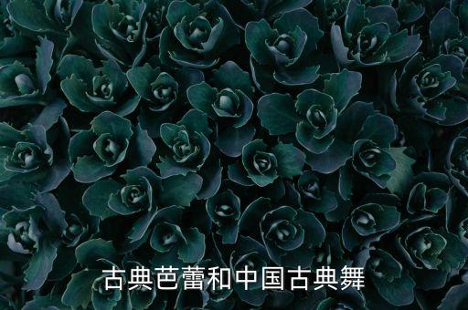 紫薇舞蹈,【珍珠公主》第二集:中国古典舞动唯美唯馨
