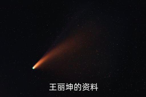  王丽坤的资料