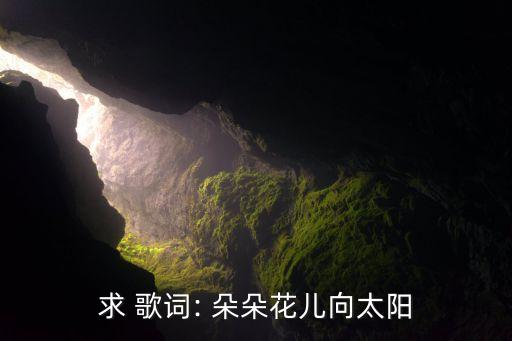 求 歌词: 朵朵花儿向太阳