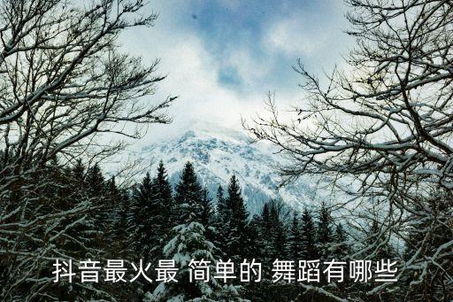 抖音最火最 简单的 舞蹈有哪些