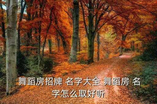 舞蹈公司名字大全2015,第二集:舞蹈学堂（13）